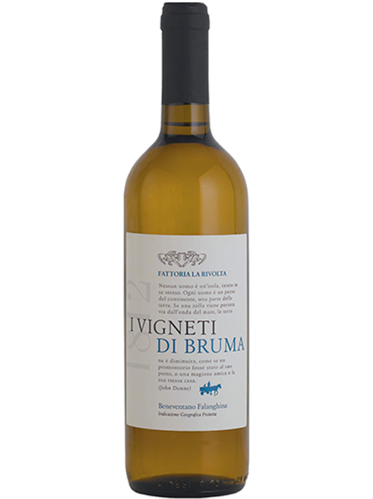 Vigneti di Bruma FALANGHINA IGT